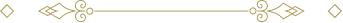Bottom Decorative Line